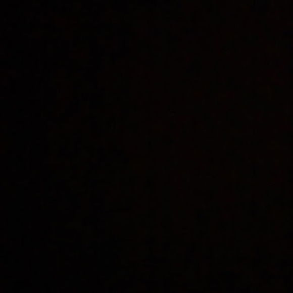 Meet your Posher, Luna - Picture 1 of 1